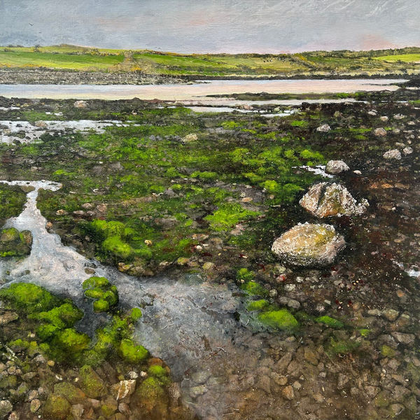 Janet Murran, Journey Along Green Furred Mud Flats with Barnacle Covered Rocks 2024, 2024