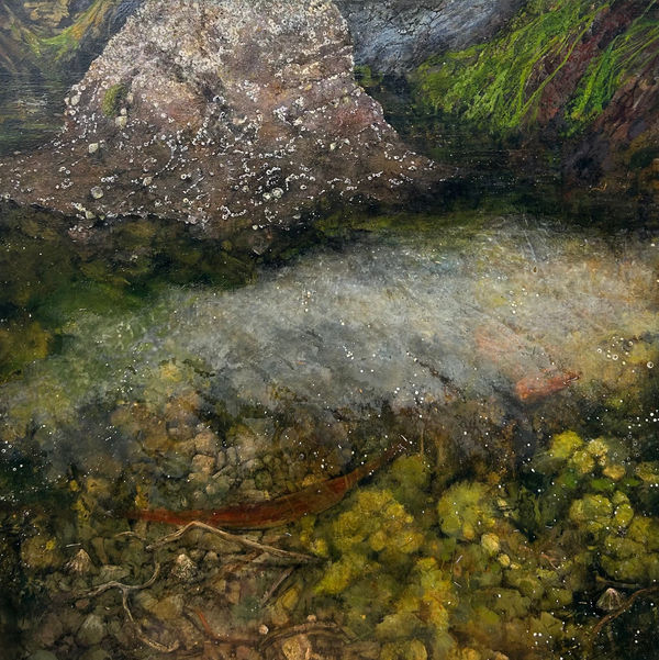 Janet Murran, A Quiet Corner Where Mystery Might be Ght Be Glimpsed, 2024