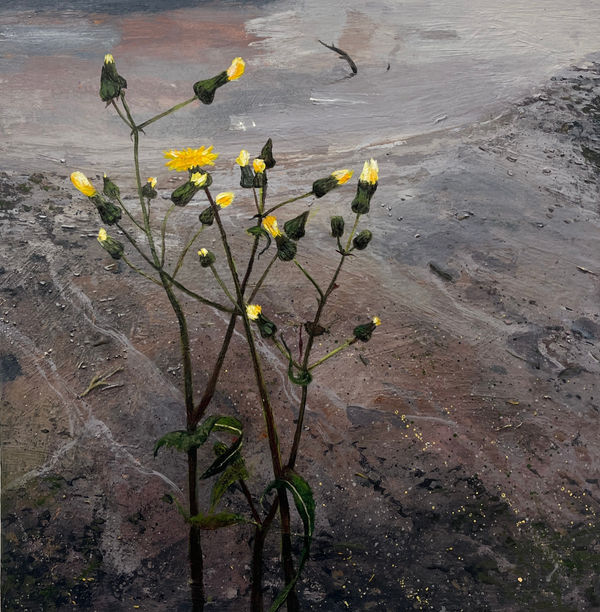 Janet Murran, A Yellow Dance, 2024