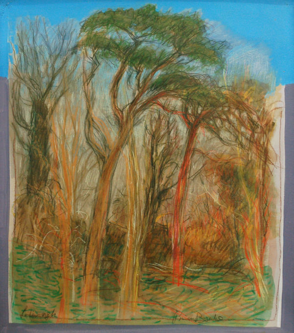 Brian Bourke, Letteragh 6, 2019