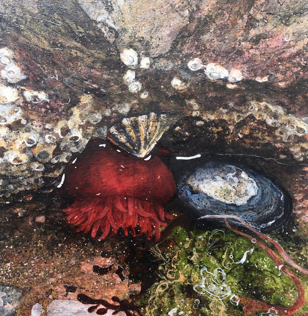 Janet Murran, Haven II, 2024