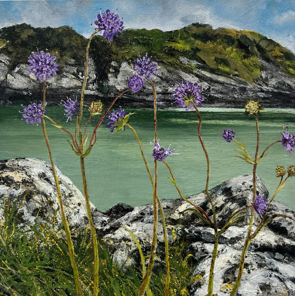 Janet Murran, The Poignant Beauty of things that are Ephemeral: Sheep's Bit Scabious, 2024
