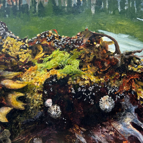 Janet Murran, Sheltering Place II, 2024