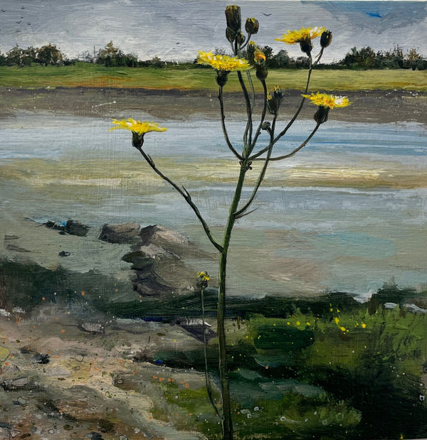 Janet Murran, A Yellow Dance II, 2024