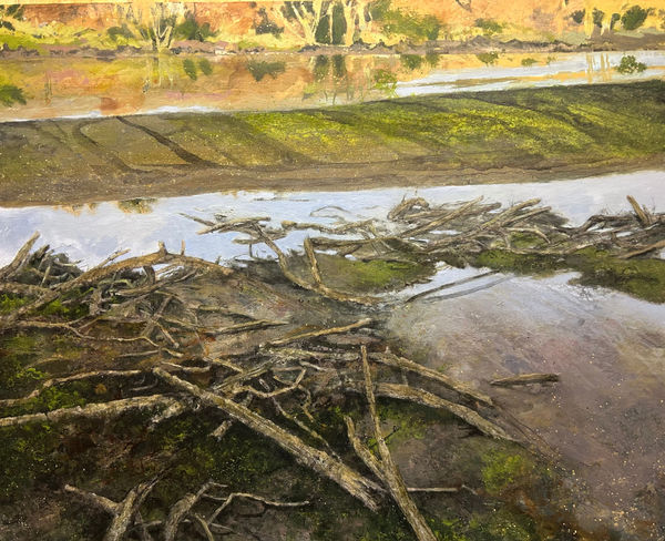 Janet Murran, In an Inch of Spring Sun, 2024