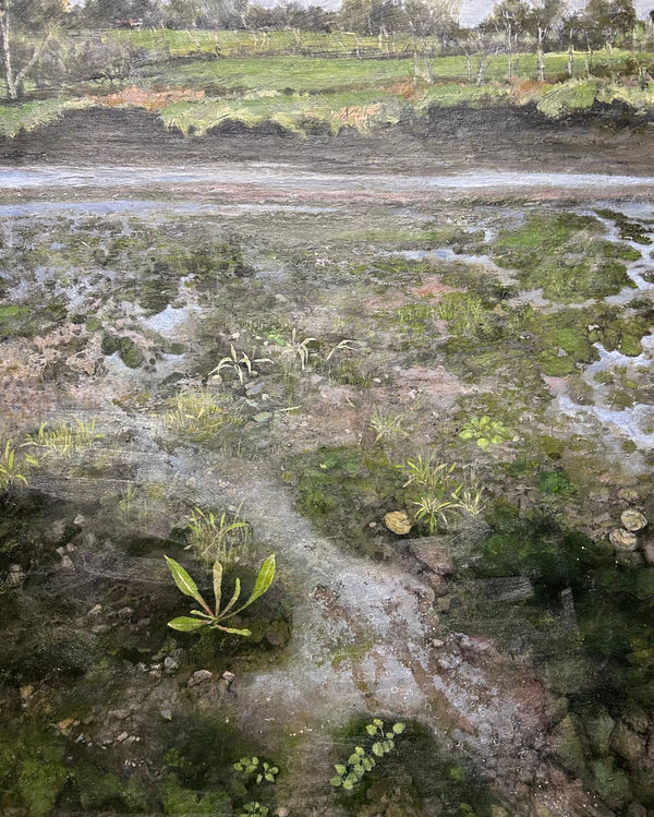 Janet Murran, A Saturdated Scene, 2024