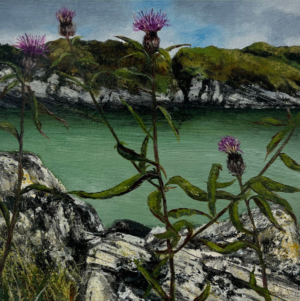 Janet Murran, The Poignant Beauty of Things that are Ephemeral: Common Knapweed, 2024