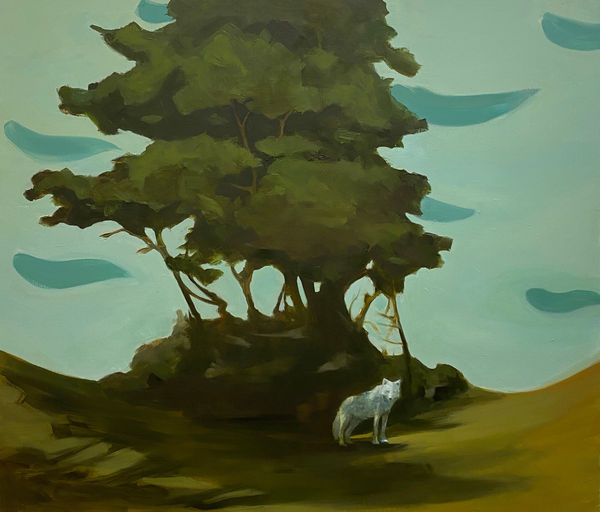 Louise Neiland, White dog , 2021