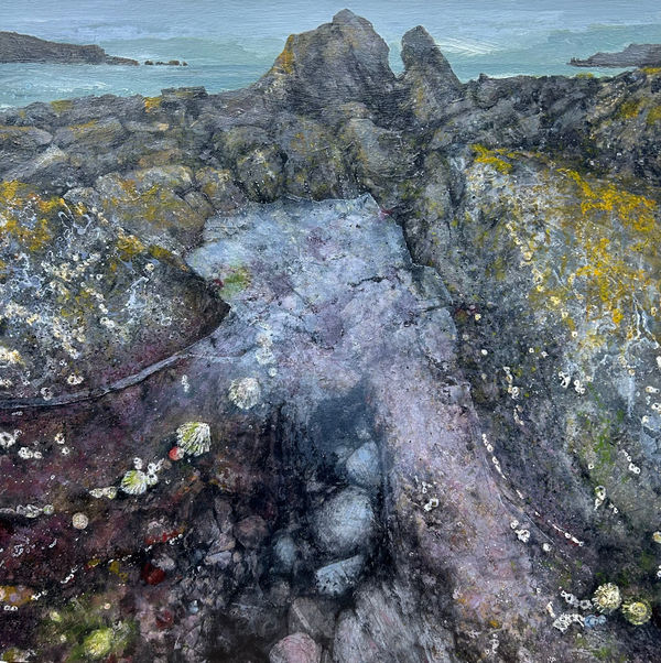 Janet Murran, Sheltering Place, 2024