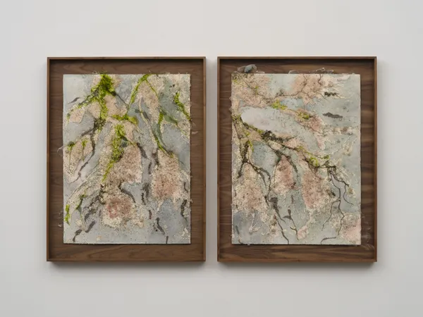 Tonia Calderon, If forgetting is our only true mercy. I’ll pretend., (Diptych), 2026