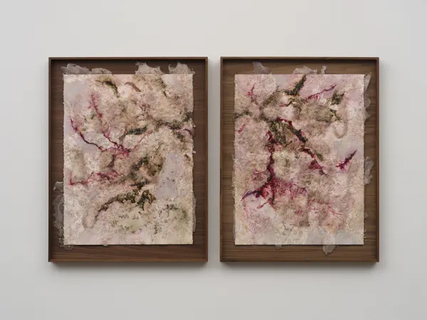 Tonia Calderon, Our children live in the flowers. I hope this reminds you to live small., (Diptych), 2026