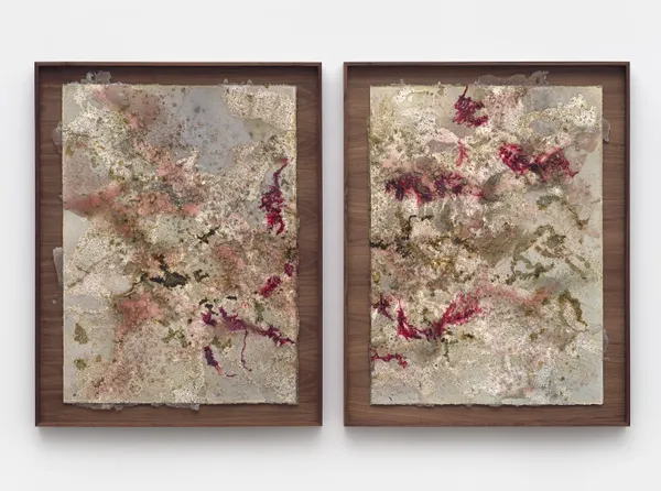 Tonia Calderon, Perhaps my mercy frightened him. All we needed was for him to forgive himself., (Diptych), 2025