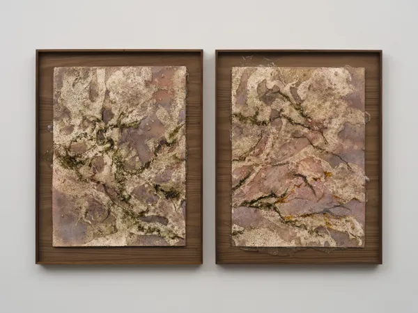 Tonia Calderon, We orbit each other. And let gravity move us., (Diptych), 2026