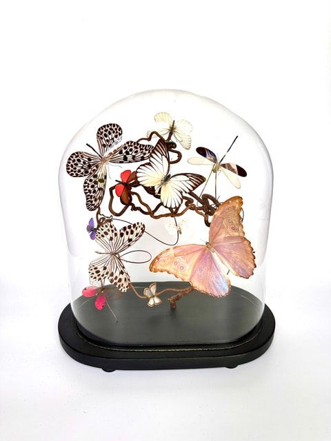 Tess Chodan, Tender Offering