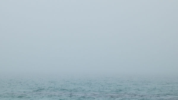 Jin-Woo Prensena, Mystic Morning, Laguna Beach