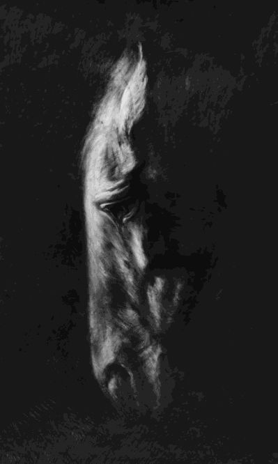 Nic Fiddian-Green, Horse At water (Large)