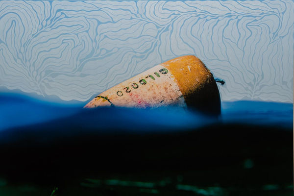 Jonathan Nimerfroh, Buoy