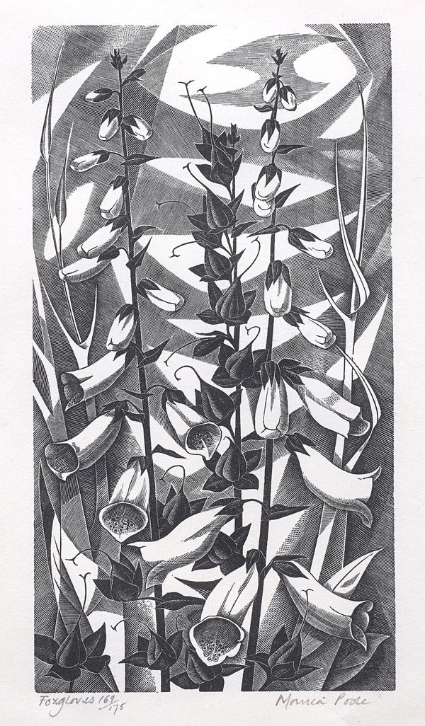 Monica Poole, Foxgloves