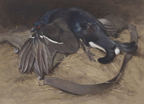 Edwin Alexander RSA RSW, Still Life of a Blackcock