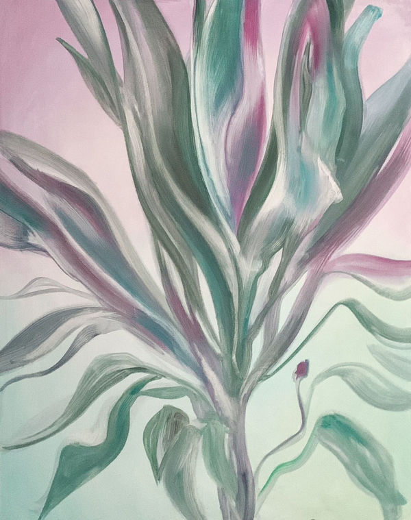 Baroque Anarchist, Dawn in Tropics , 2024