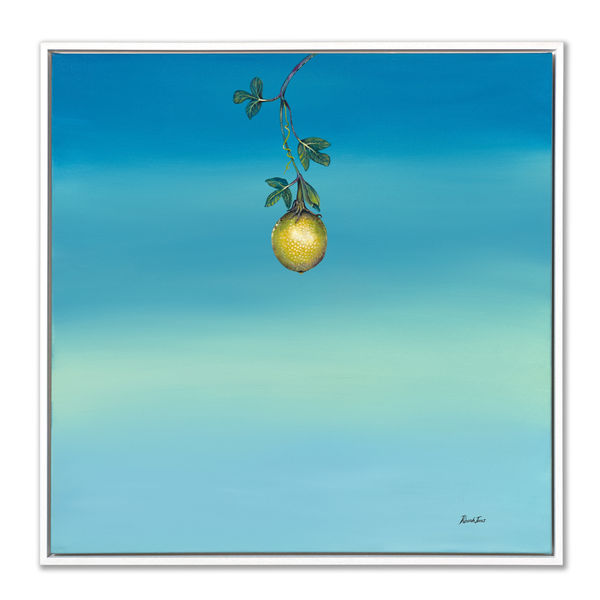 Deborah Jones, O Maracjua (The Passion Fruit), 2024