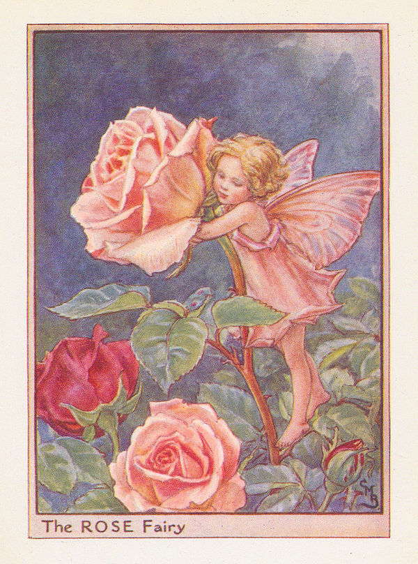Cicely Mary Barker, Fairies - Rose Fairy, 1944