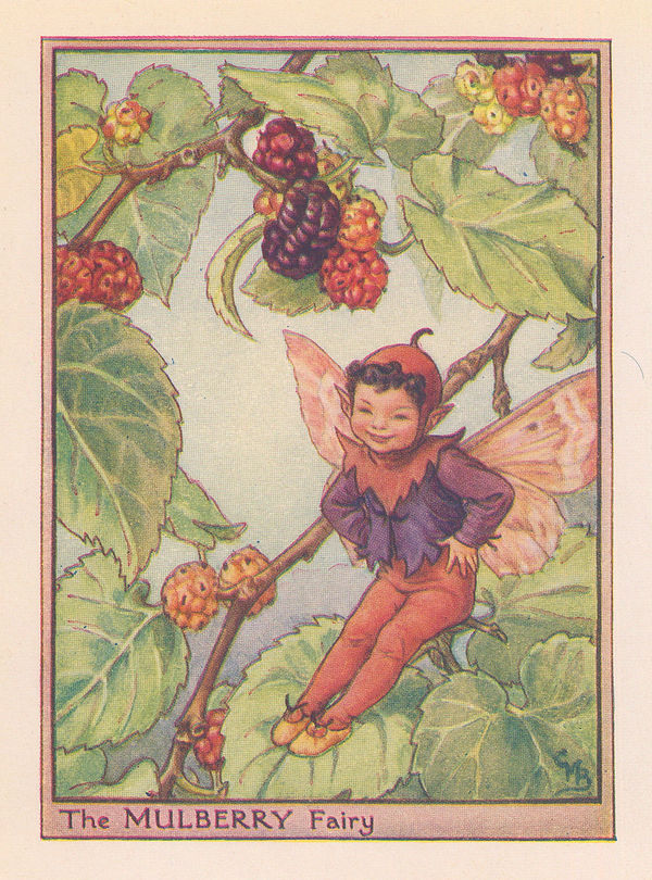 Cicely Mary Barker, Fairies - Mulberry Fairy, 1940