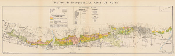 Louis Larmat, Wine map of Cote de Nuits, Burgundy, 1953