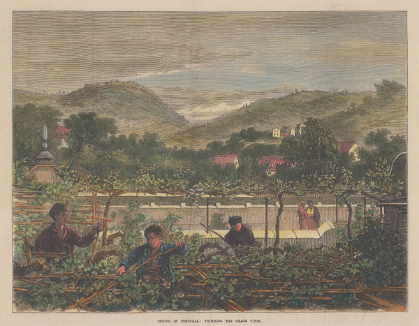 Illustrated London News (ILN), Portugal - Wine, 1873