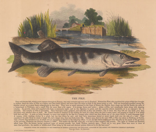 Society for Promoting Christian Knowledge (SPCK), Pike, 1843