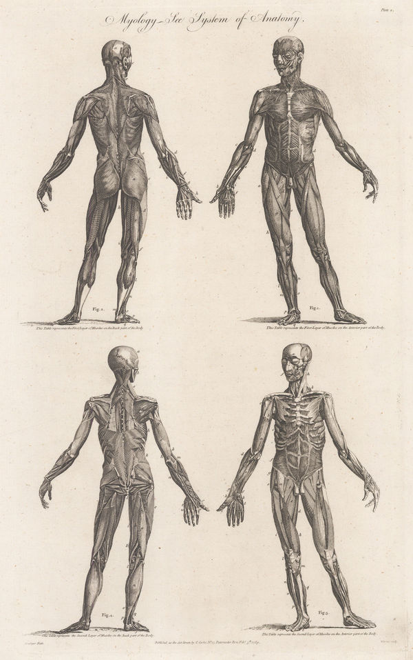 Charles Cooke, Anatomy - Myology, 1789