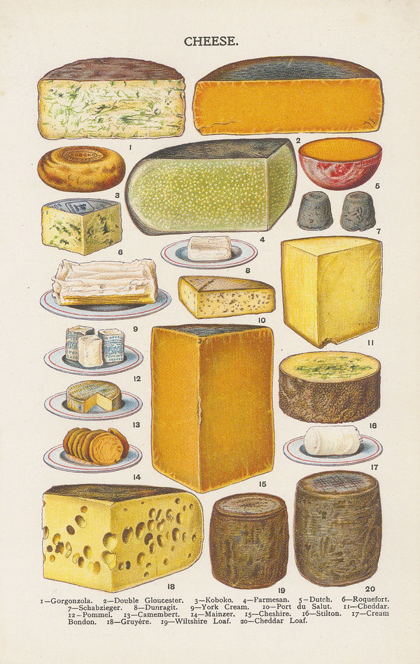Mrs. Beeton, Cookery - Cheese, 1907