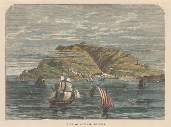 J. C. Brown, Madeira - Funchal, 1885 c.