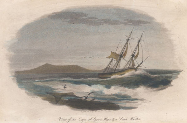 Joyce Gold, South Africa - Cape of Good Hope, 1817