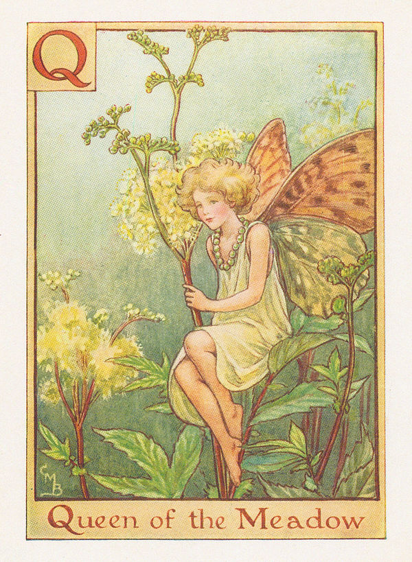 Cicely Mary Barker, Fairies - Queen of the Meadow Fairy, 1934