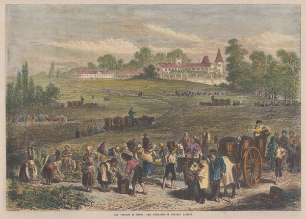 Illustrated London News (ILN), Wine - Vineyards of Chateau Lafitte, 1871