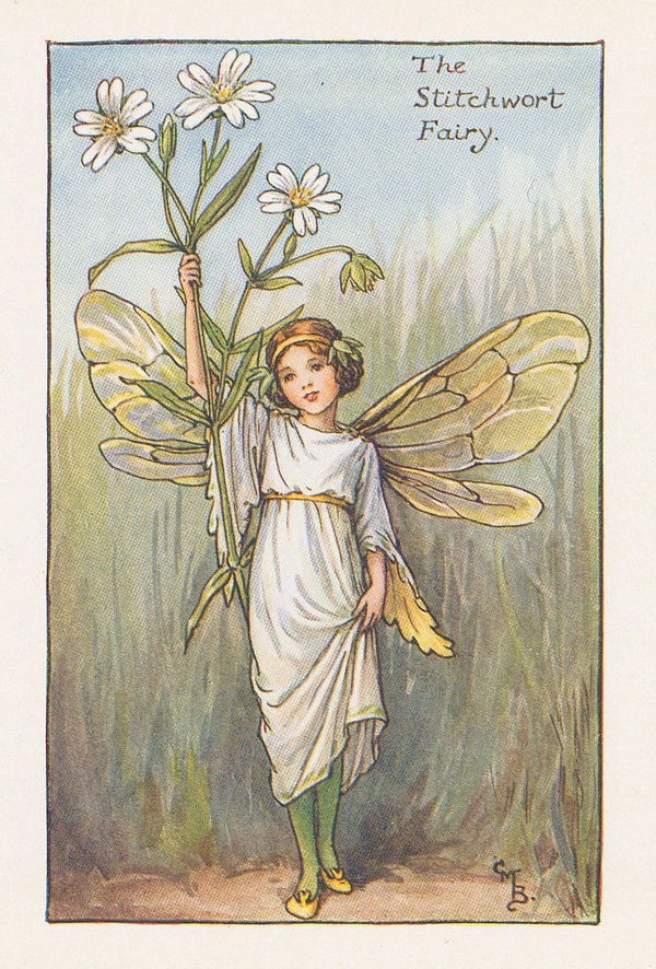 Cicely Mary Barker, Fairies - Stitchwort Fairy, 1923