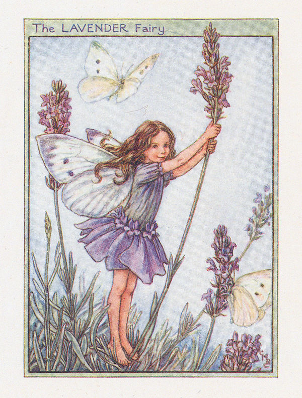 Cicely Mary Barker, Fairies - Lavender Fairy, 1944