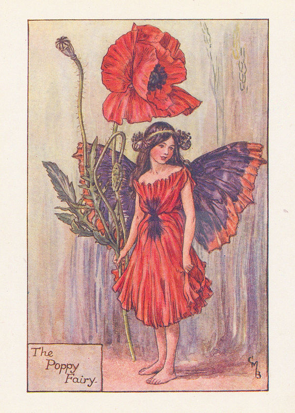 Cicely Mary Barker, Fairies - Poppy Fairy, 1925