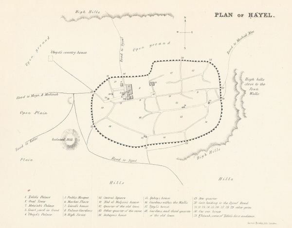 William Gifford Palgrave, Plan of Hayel, 1866