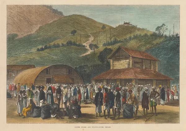 Illustrated London News (ILN), Sri Lanka - Coffee, 1872