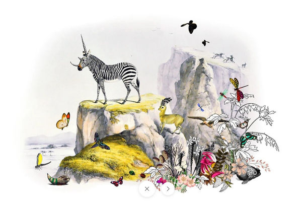 Kristjana S. Williams, Zebra Gardur, 2014