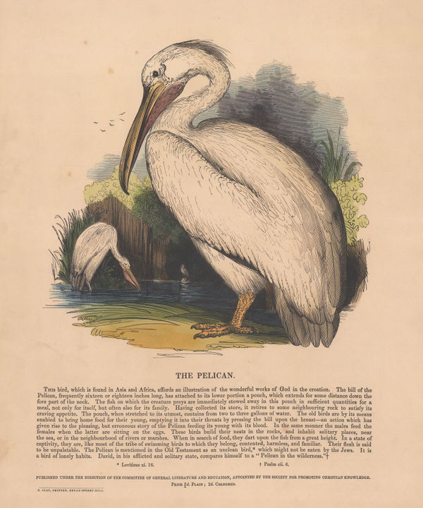 Society for Promoting Christian Knowledge (SPCK), Pelican, 1843