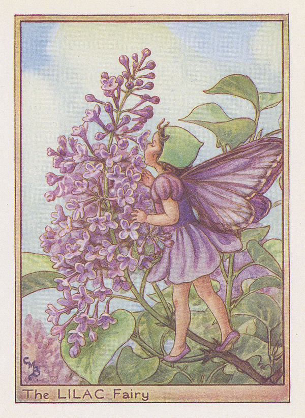 Cicely Mary Barker, Fairies - Lilac Fairy, 1940