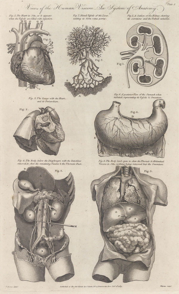 Charles Cooke, Anatomy - Viscera , 1789