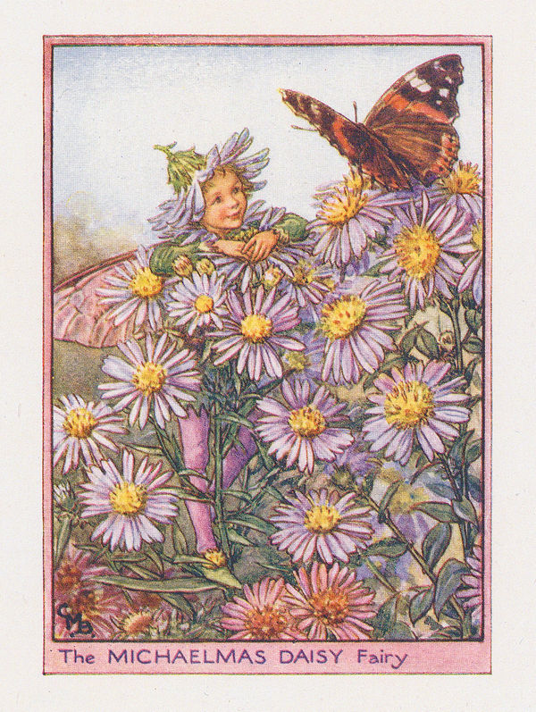 Cicely Mary Barker, Fairies - Michaelmas Daisy Fairy, 1944