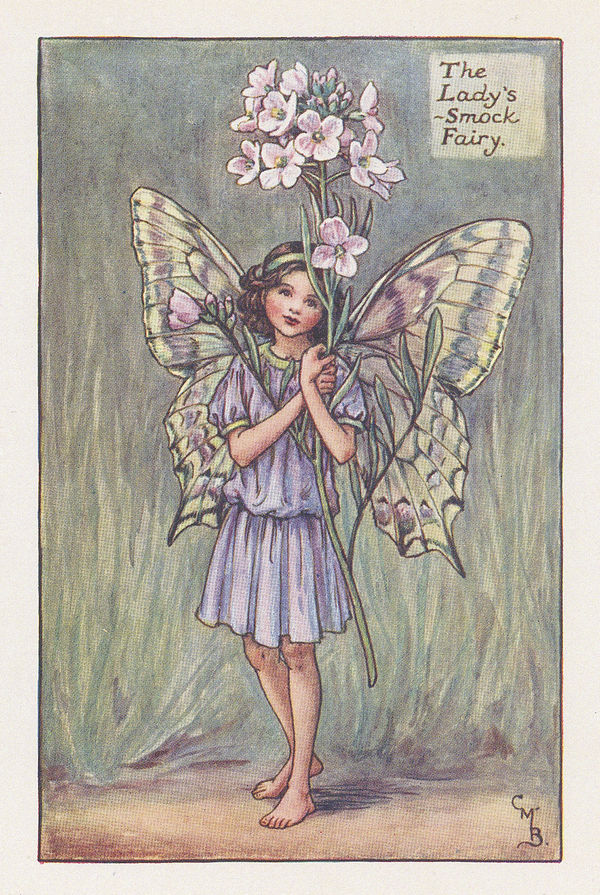 Cicely Mary Barker, Fairies - Lady's-smock Fairy, 1923