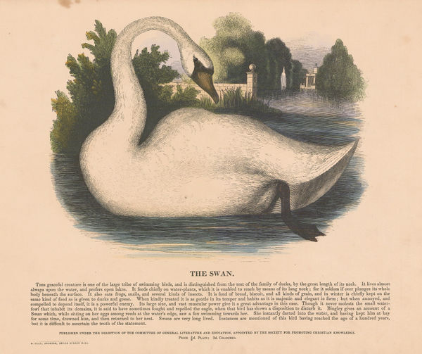 Society for Promoting Christian Knowledge (SPCK), Swan, 1841