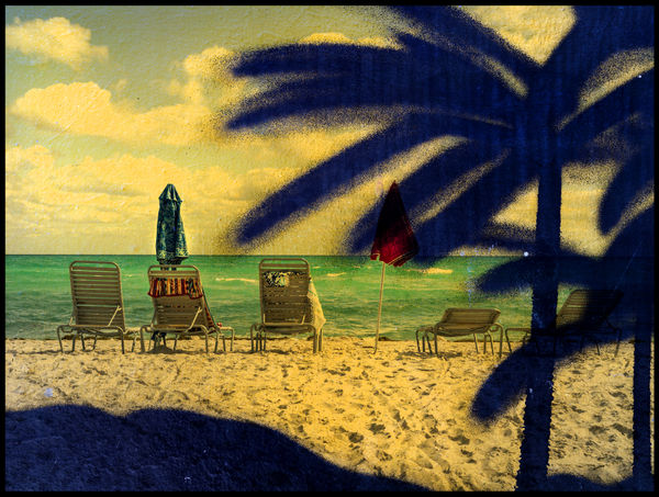 Clint Strydom, Graffiti Palms, Miami , 2025