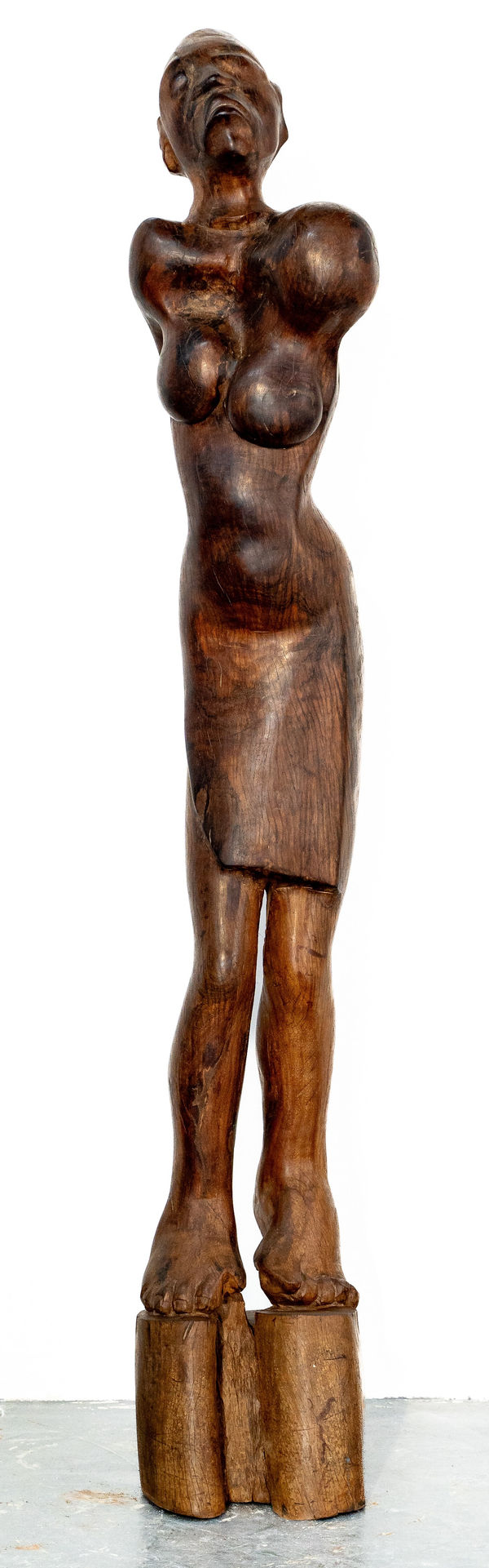 Meshark Matamela Raphalalani, Women Power